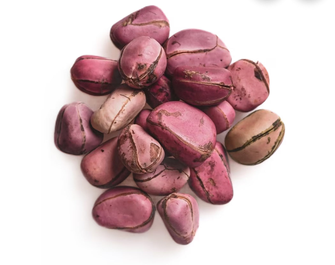 Kola Nuts 5oz – Premium Whole African Kola Nuts for Energy, Rituals & Wellness