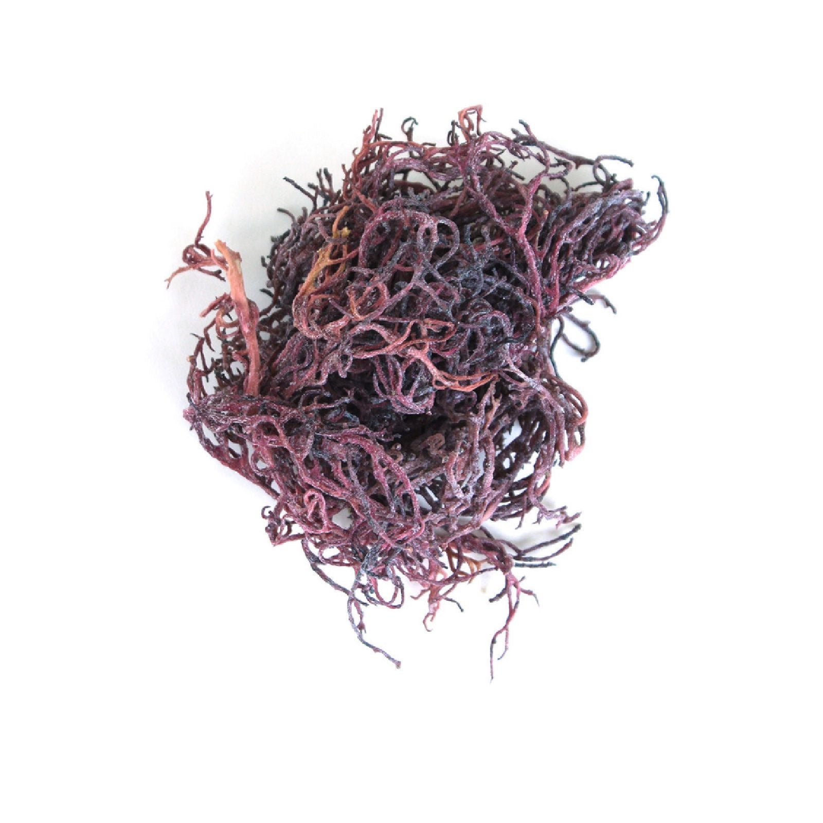 Purple Irish Sea Moss - 4oz | Organic, Wildcrafted, Sun-Dried from St. Lucia | Nutrient-Rich Superfood